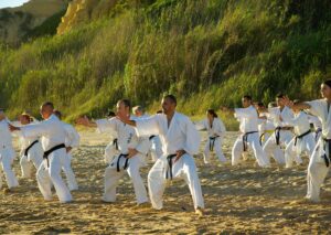 kurs instruktora karate online