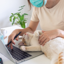 kurs behawiorysty- specjalizacja koty