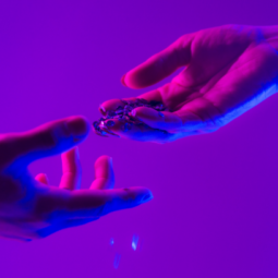 kurs specjalista od AI