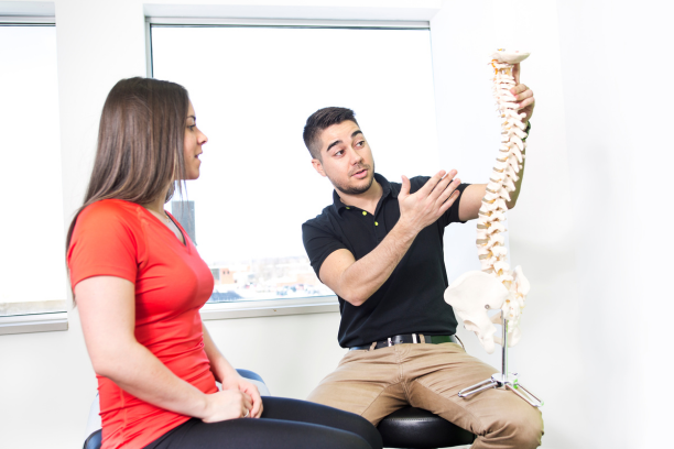 kurs osteopaty online